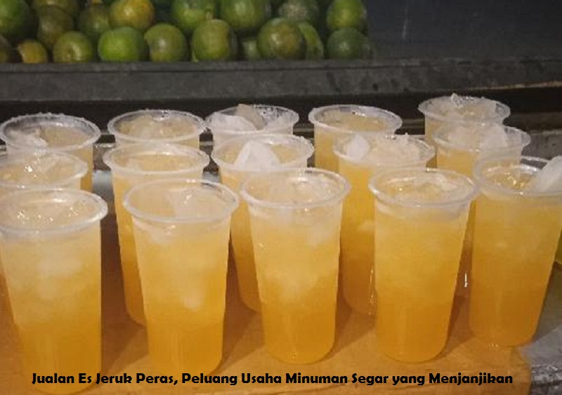 Jualan Es Jeruk Peras, Peluang Usaha Minuman Segar yang Menjanjikan
